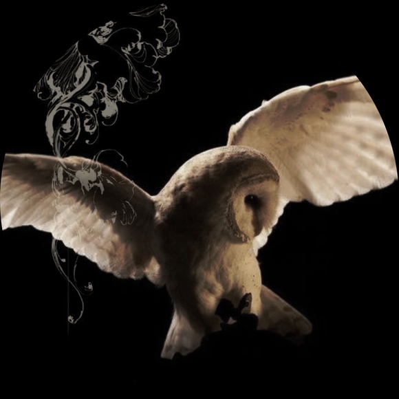 curiousnightowl